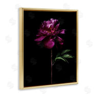 Elise Catterall | Long Stem Flower Photograph