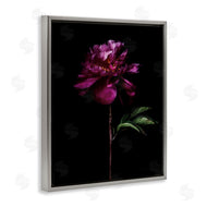 Elise Catterall | Long Stem Flower Photograph