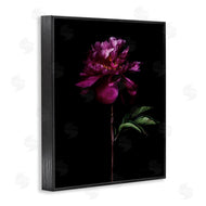 Elise Catterall | Long Stem Flower Photograph