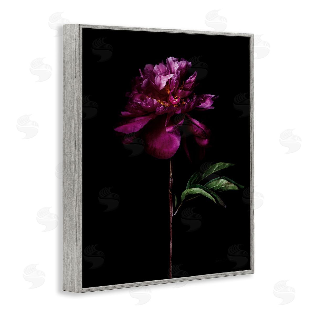 Long Stem Flower Photograph Grey Frame Print Wall Art, Home Decor by Elise Catterall