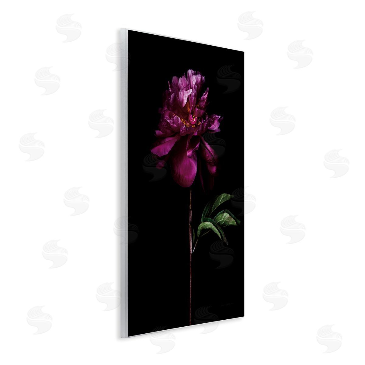 Long Stem Flower Photograph Wood Plaque Wall Art, Home Decor by Elise Catterall