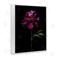 Elise Catterall | Long Stem Flower Photograph