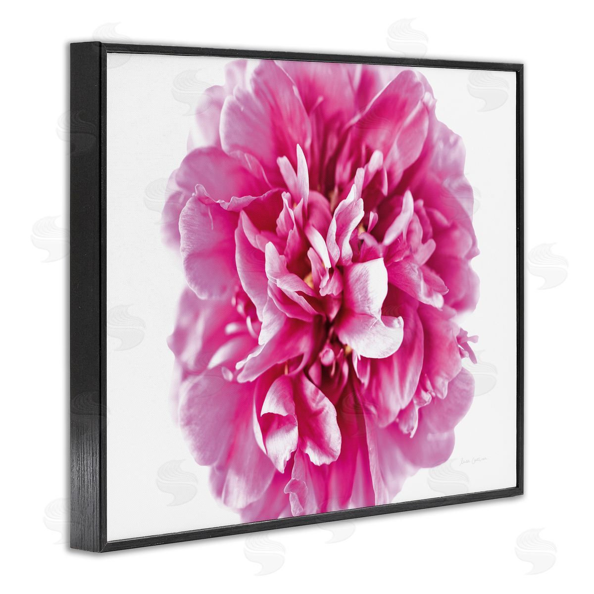Pink Pop Flower Photograph Black Frame Print Wall Art, Home Decor by Elise Catterall