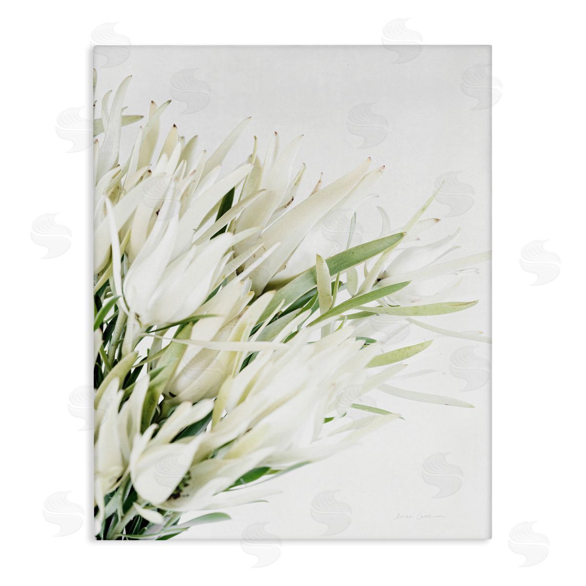 Bright Natural Flower Arrangement Canvas Wall Art, Home Decor by Elise Catterall