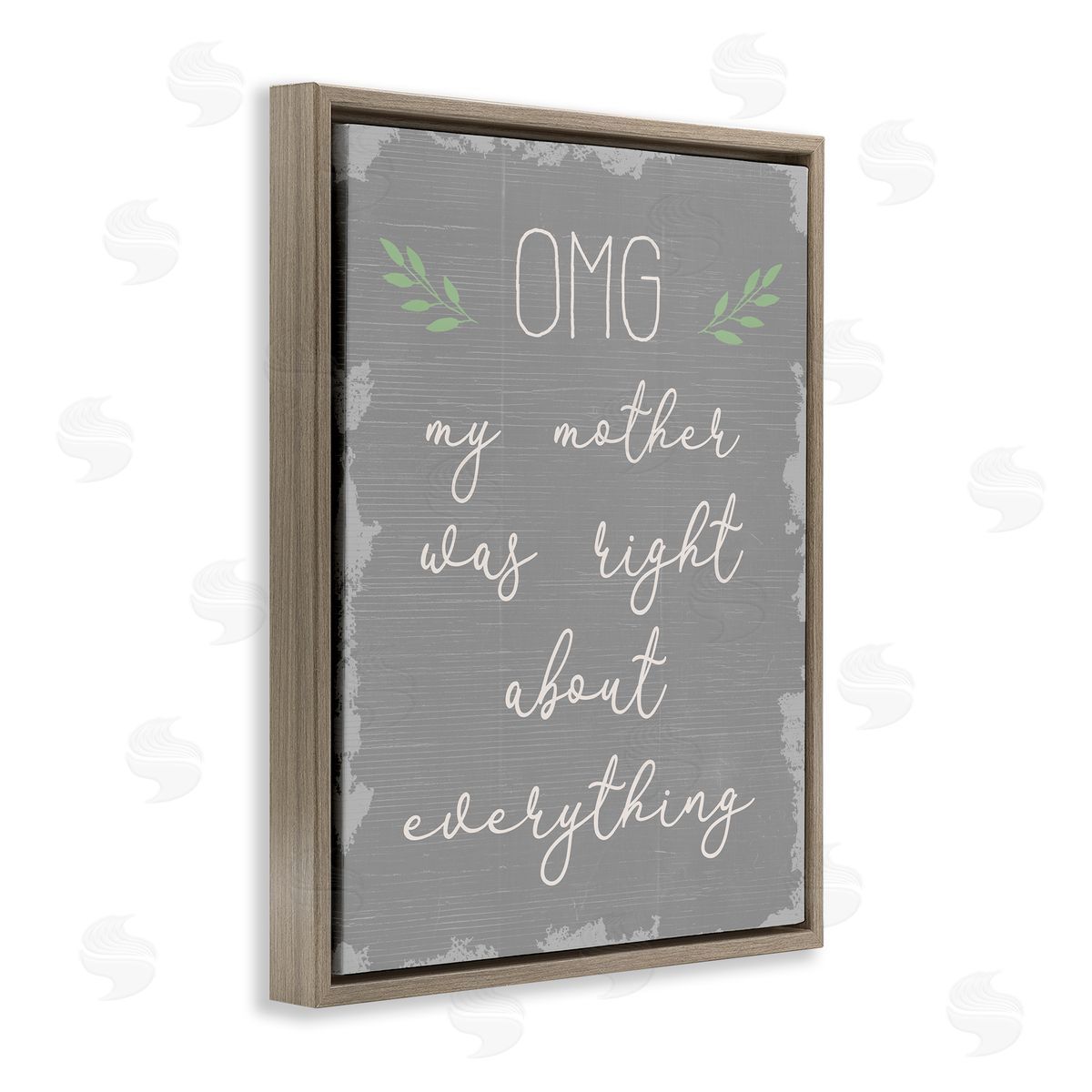 OMG Mom is Right Funn Brown Floating Frame Canvas Wall Art, Home Decor by Stupell Studio