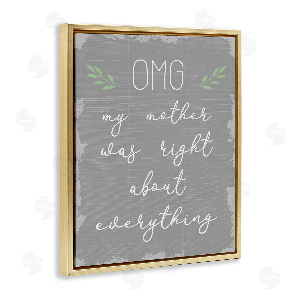 OMG Mom is Right Funn Gold Floating Frame Canvas Wall Art, Home Decor by Stupell Studio