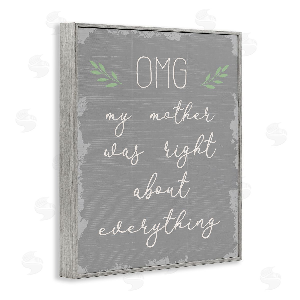 OMG Mom is Right Funn Grey Frame Print Wall Art, Home Decor by Stupell Studio