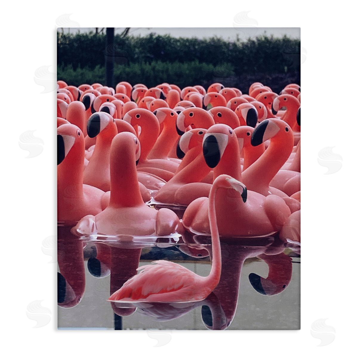 Funny Pink Flamingo Pool Canvas Wall Art, Home Decor by Ziwei Li