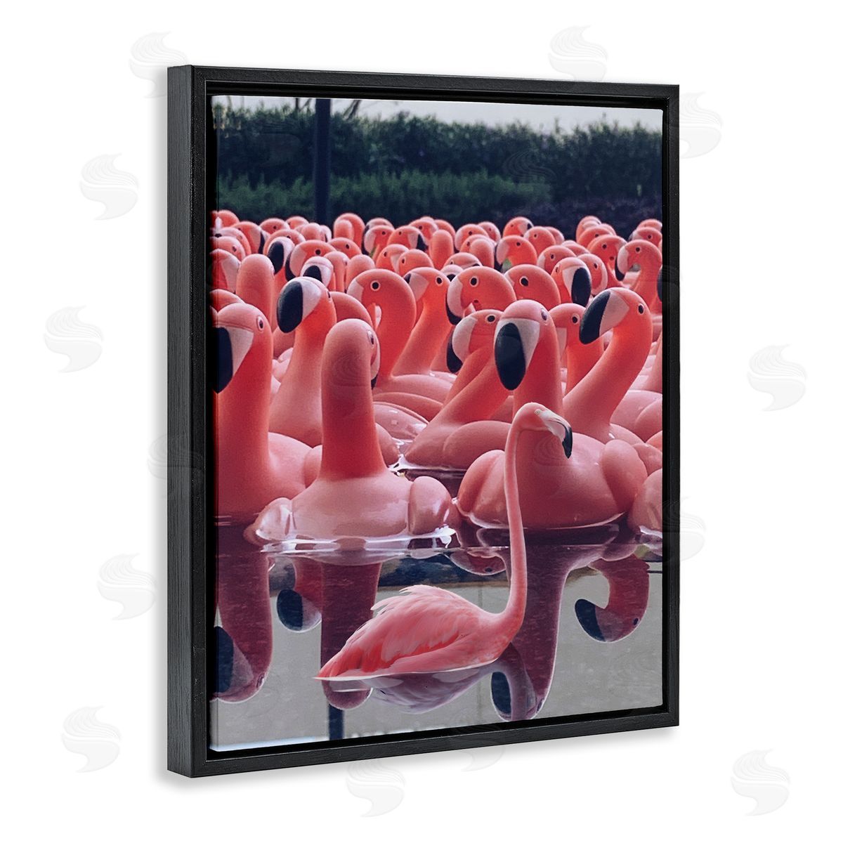 Funny Pink Flamingo Pool Black Floating Frame Canvas Wall Art, Home Decor by Ziwei Li