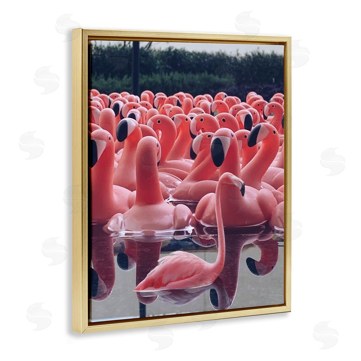 Funny Pink Flamingo Pool Gold Floating Frame Canvas Wall Art, Home Decor by Ziwei Li