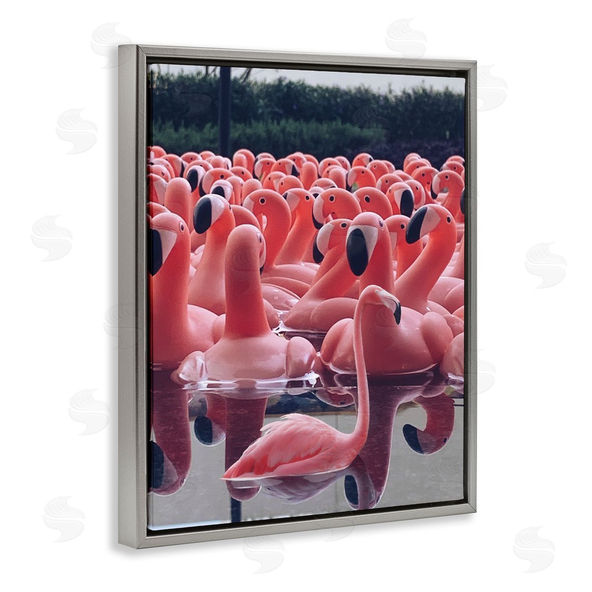 Funny Pink Flamingo Pool Grey Floating Frame Canvas Wall Art, Home Decor by Ziwei Li