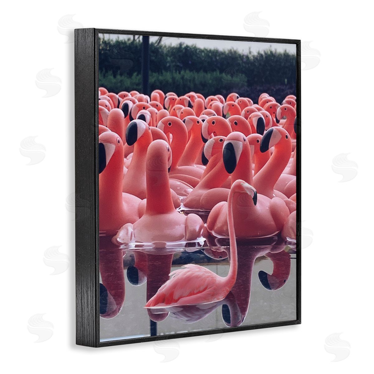 Funny Pink Flamingo Pool Black Frame Print Wall Art, Home Decor by Ziwei Li