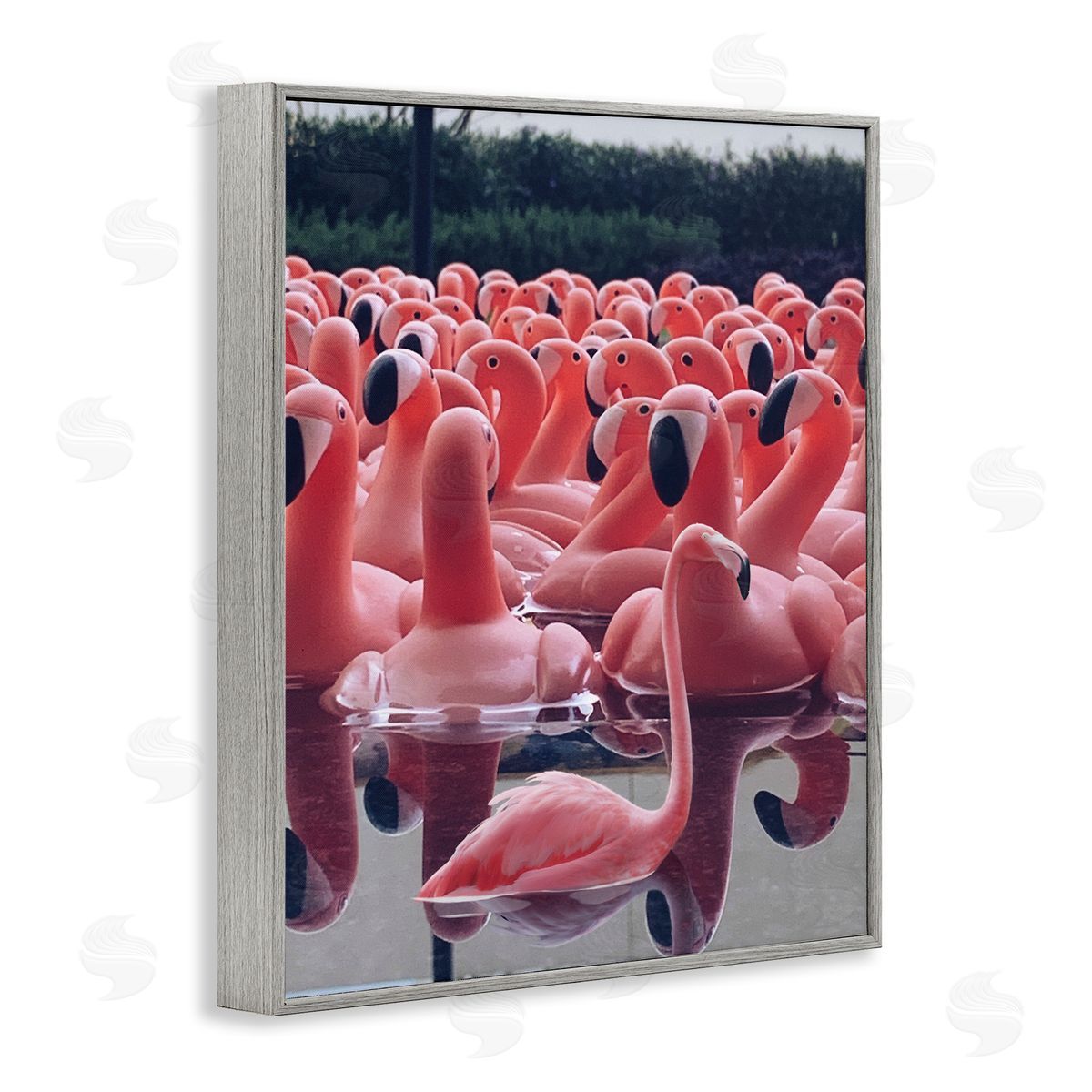 Funny Pink Flamingo Pool Grey Frame Print Wall Art, Home Decor by Ziwei Li
