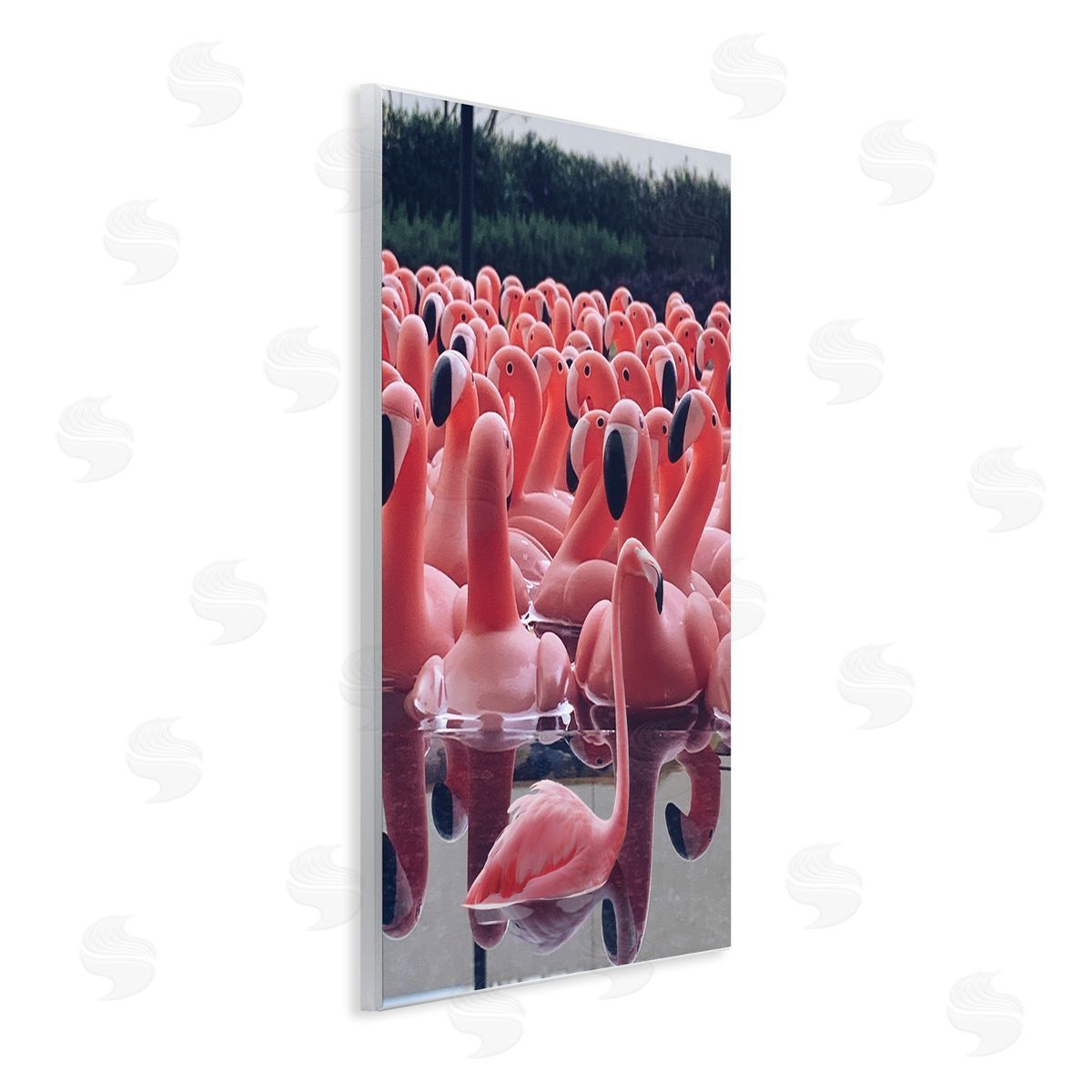 Funny Pink Flamingo Pool Wood Plaque Wall Art, Home Decor by Ziwei Li
