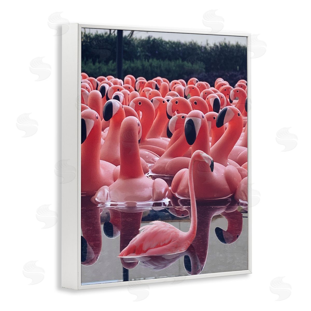 Funny Pink Flamingo Pool White Frame Print Wall Art, Home Decor by Ziwei Li