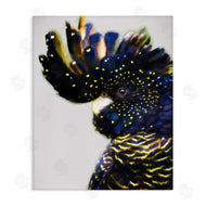 Urban Road | Tropical Bird Blue Yellow Feathers