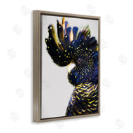 Urban Road | Tropical Bird Blue Yellow Feathers