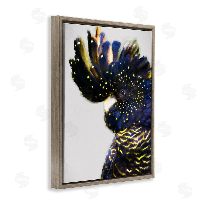 Urban Road | Tropical Bird Blue Yellow Feathers