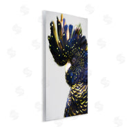 Urban Road | Tropical Bird Blue Yellow Feathers