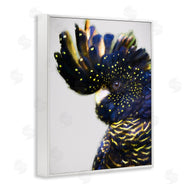 Urban Road | Tropical Bird Blue Yellow Feathers