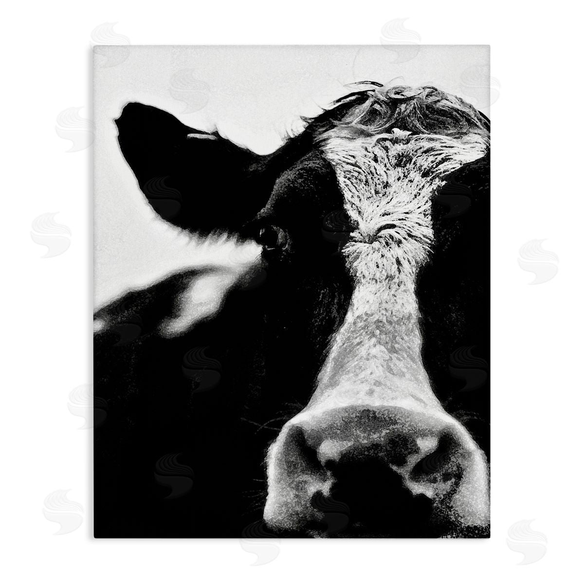 Cow Face Portrait Canvas Wall Art, Home Decor by Lettered and Lined