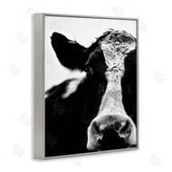 Lettered and Lined | Cow Face Portrait