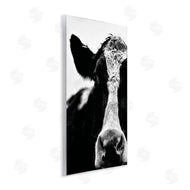 Lettered and Lined | Cow Face Portrait
