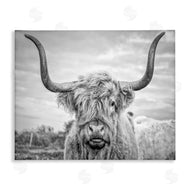 Joe Reynolds | Grey Highland Cow Photograph