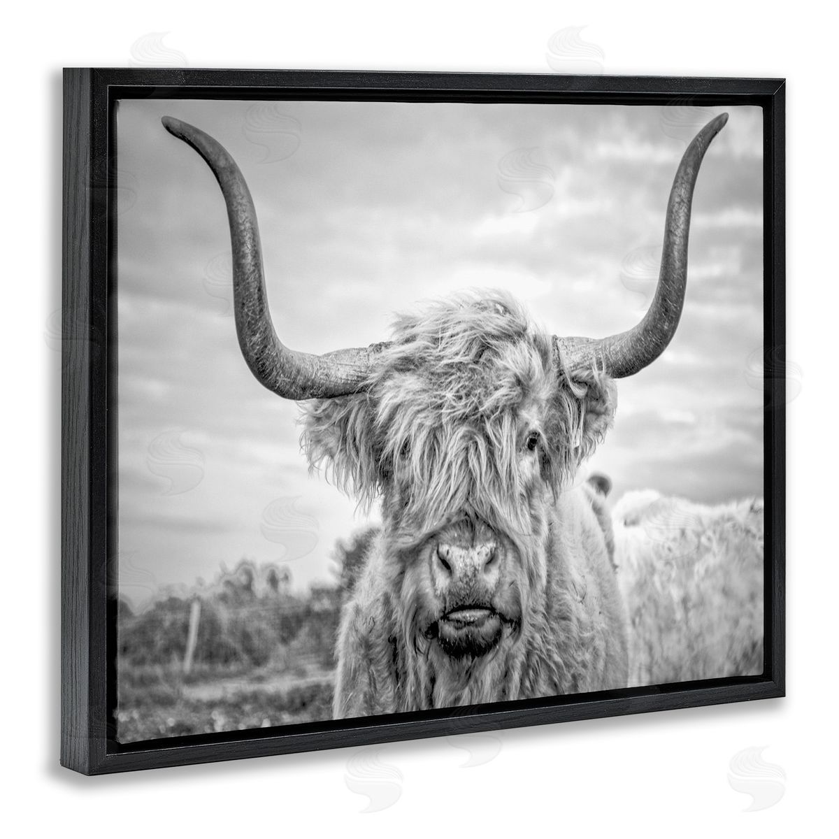Grey Highland Cow Photograph Black Floating Frame Canvas Wall Art, Home Decor by Joe Reynolds