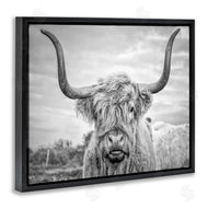 Joe Reynolds | Grey Highland Cow Photograph