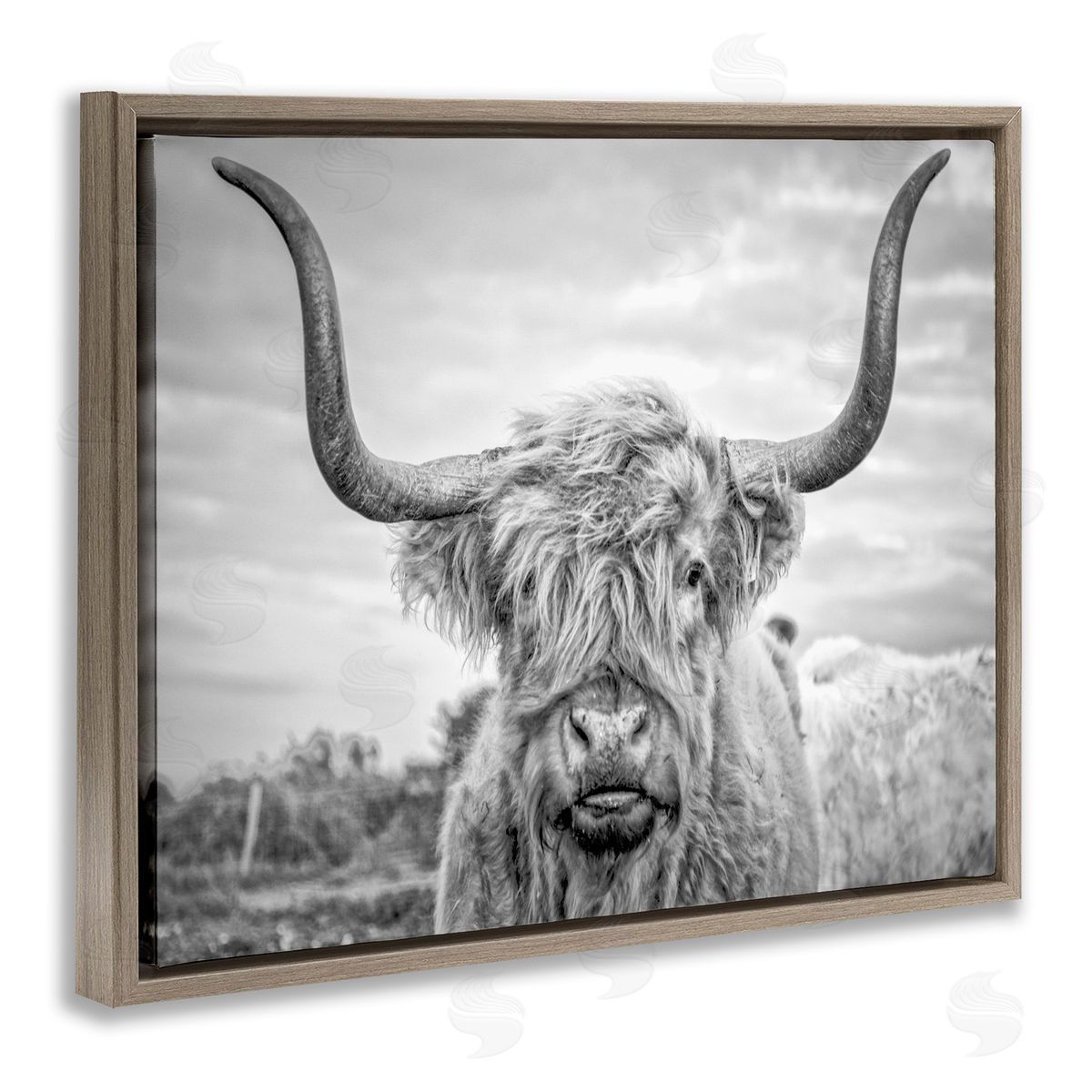 Grey Highland Cow Photograph Brown Floating Frame Canvas Wall Art, Home Decor by Joe Reynolds