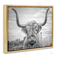 Joe Reynolds | Grey Highland Cow Photograph