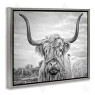 Joe Reynolds | Grey Highland Cow Photograph