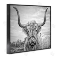 Joe Reynolds | Grey Highland Cow Photograph