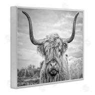 Joe Reynolds | Grey Highland Cow Photograph