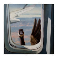 Lucia Heffernan | Goose in Airplane Window Scene