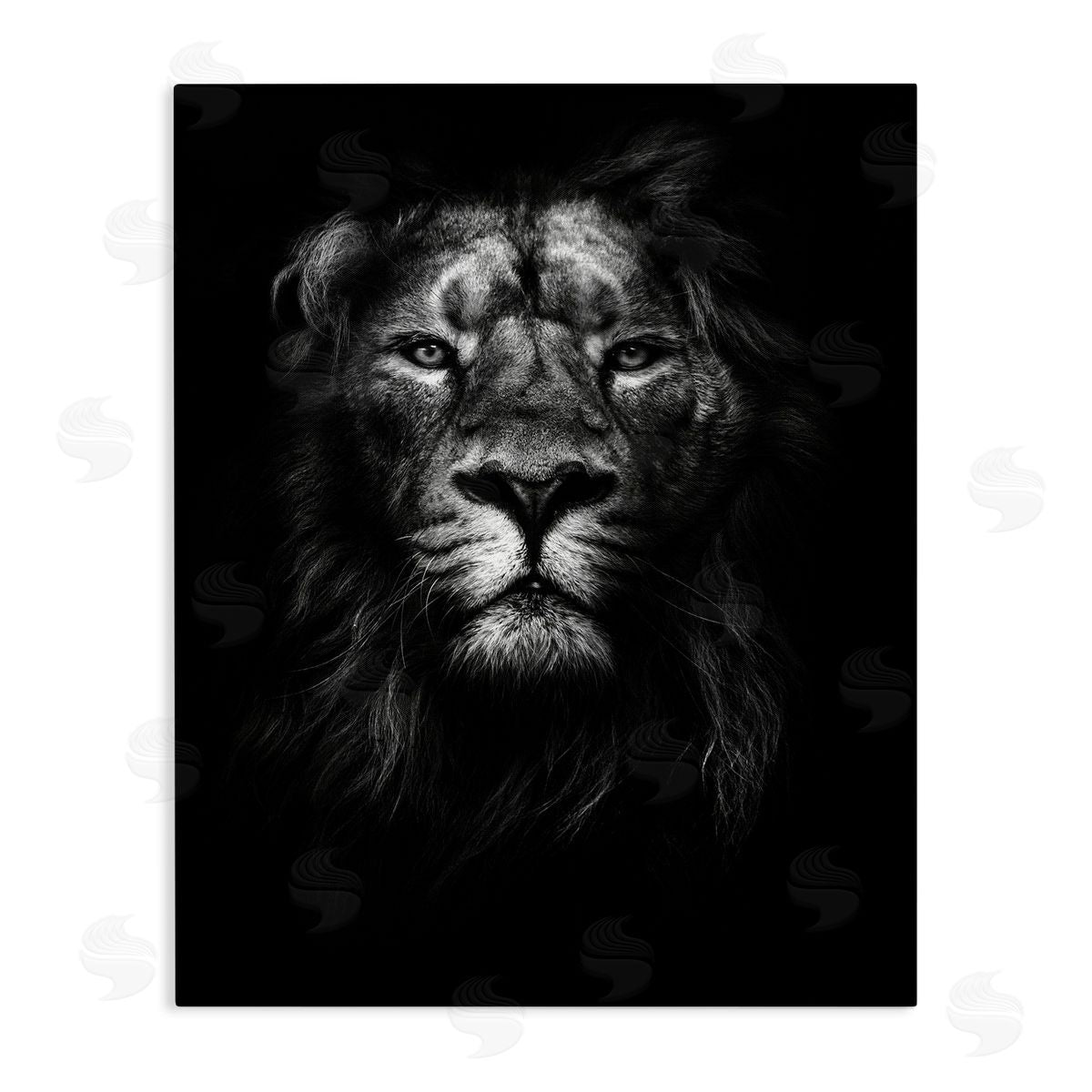 Lion In Shadows Photography Canvas Wall Art, Home Decor by Design Fabrikken