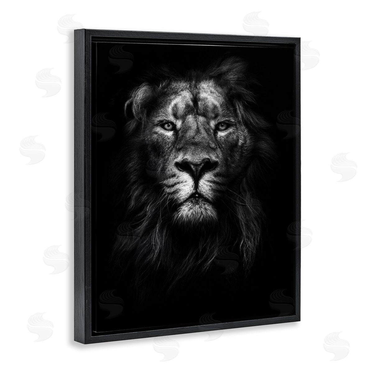 Lion In Shadows Photography Black Floating Frame Canvas Wall Art, Home Decor by Design Fabrikken