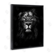 Design Fabrikken | Lion In Shadows Photography
