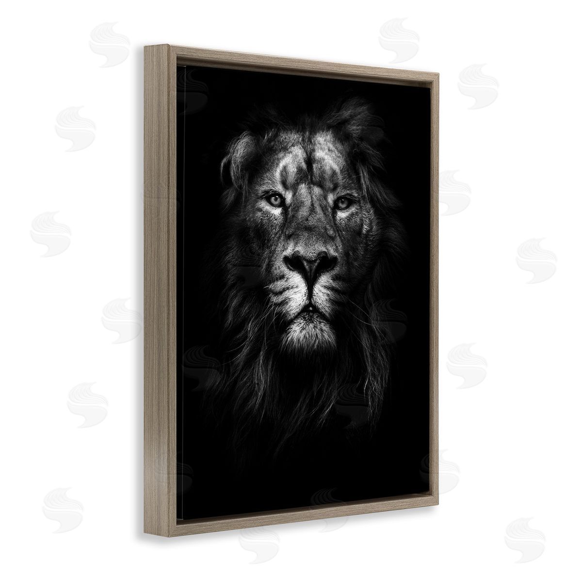 Lion In Shadows Photography Brown Floating Frame Canvas Wall Art, Home Decor by Design Fabrikken