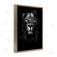 Design Fabrikken | Lion In Shadows Photography