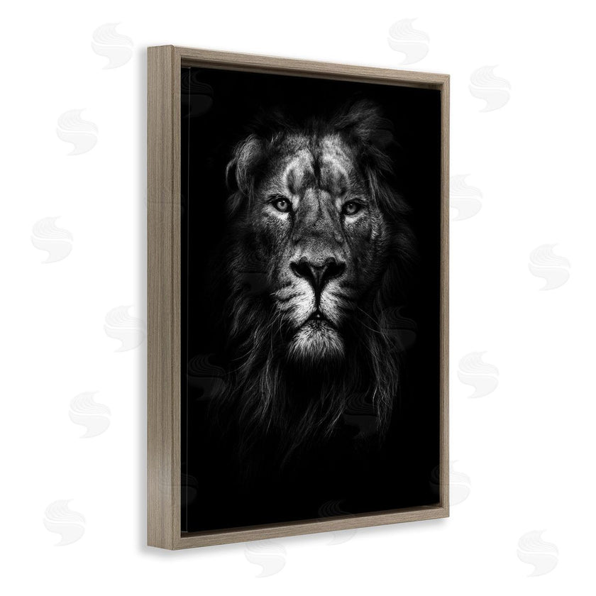 Design Fabrikken | Lion In Shadows Photography