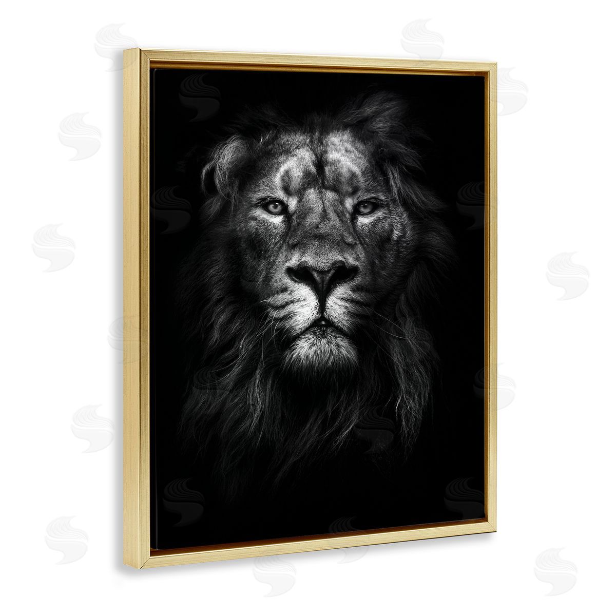 Lion In Shadows Photography Gold Floating Frame Canvas Wall Art, Home Decor by Design Fabrikken