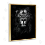 Design Fabrikken | Lion In Shadows Photography