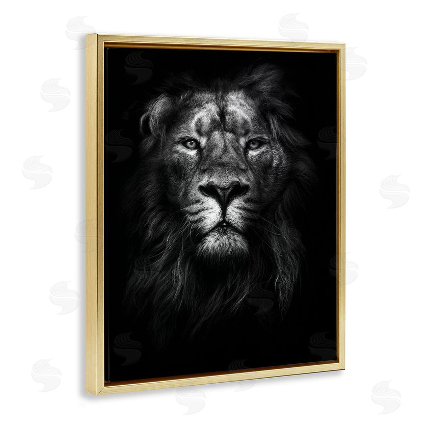 Design Fabrikken | Lion In Shadows Photography