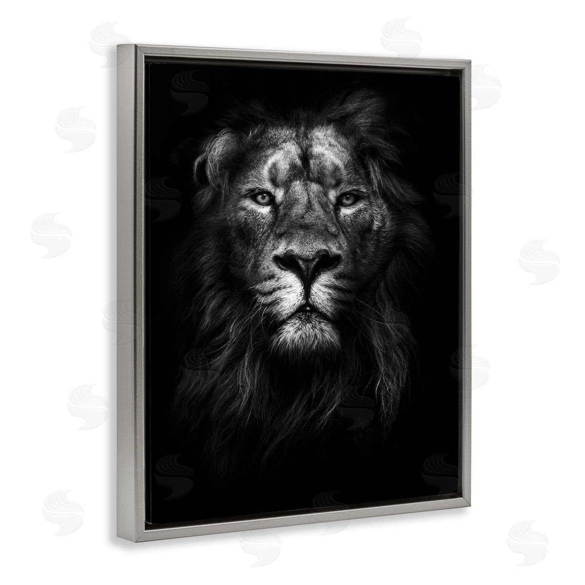 Lion In Shadows Photography Grey Floating Frame Canvas Wall Art, Home Decor by Design Fabrikken