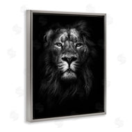 Design Fabrikken | Lion In Shadows Photography