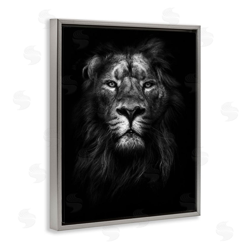 Design Fabrikken | Lion In Shadows Photography