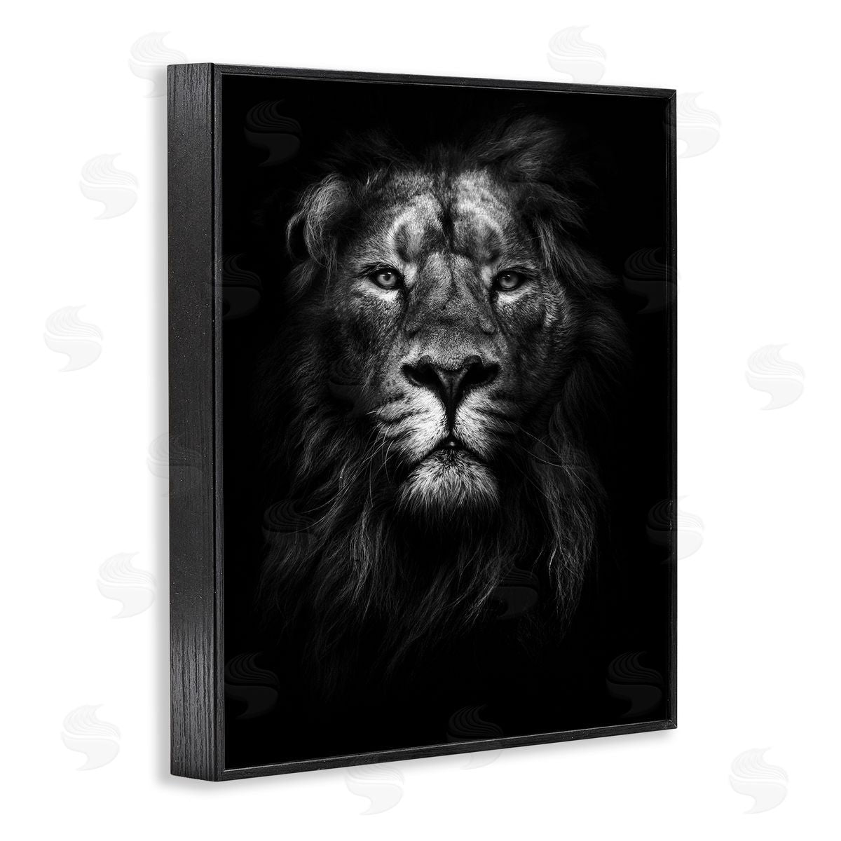 Lion In Shadows Photography Black Frame Print Wall Art, Home Decor by Design Fabrikken