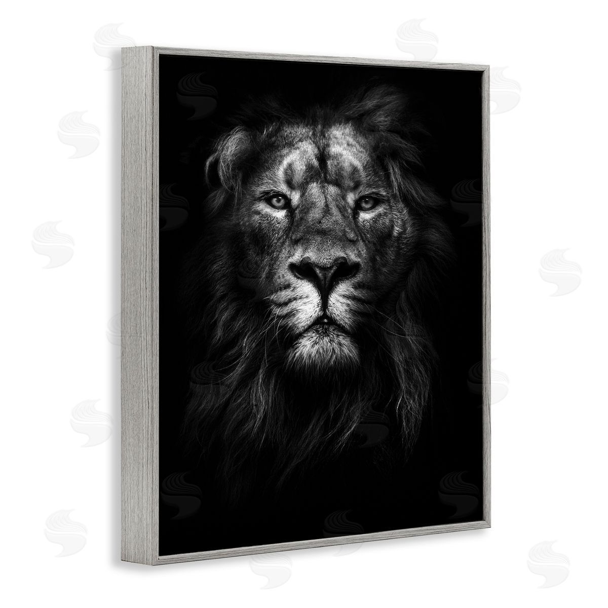 Lion In Shadows Photography Grey Frame Print Wall Art, Home Decor by Design Fabrikken